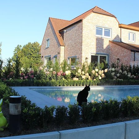 Cafcauter Bed and Breakfast Sint-Pieters-Kapelle  Buitenkant foto