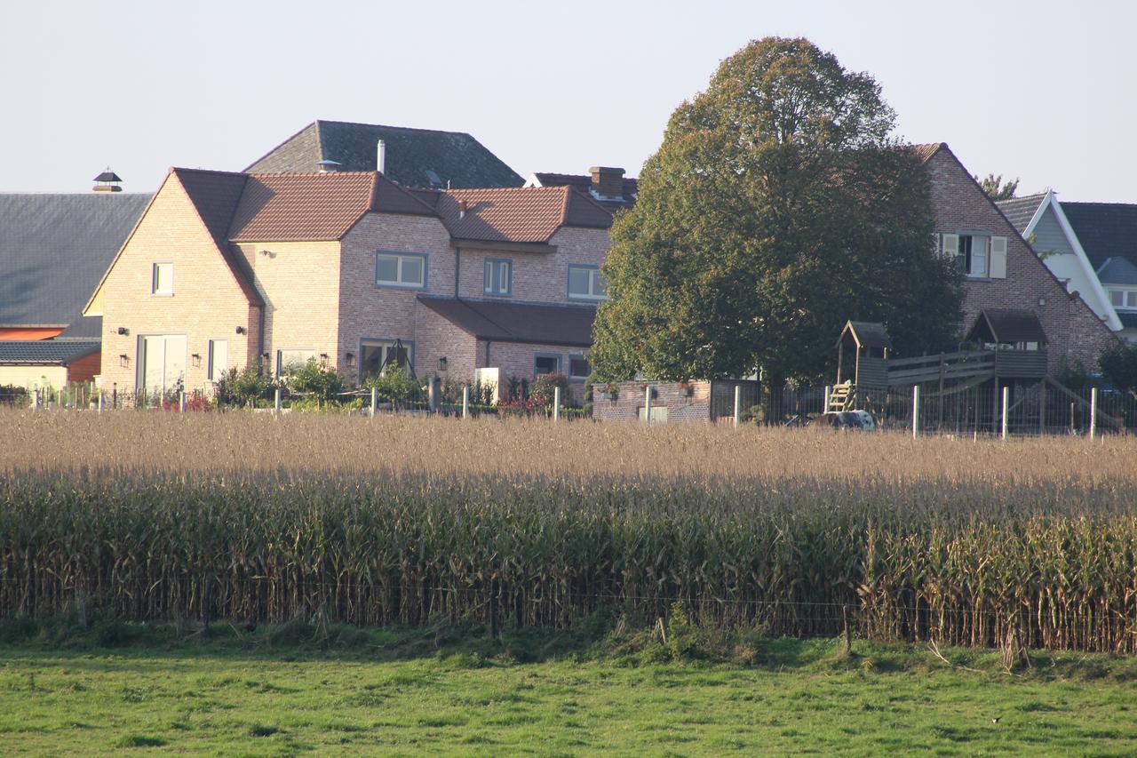 Cafcauter Bed and Breakfast Sint-Pieters-Kapelle  Buitenkant foto